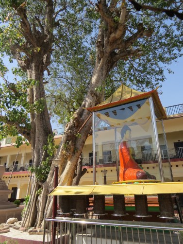 Tibetan Monastery Sarnath