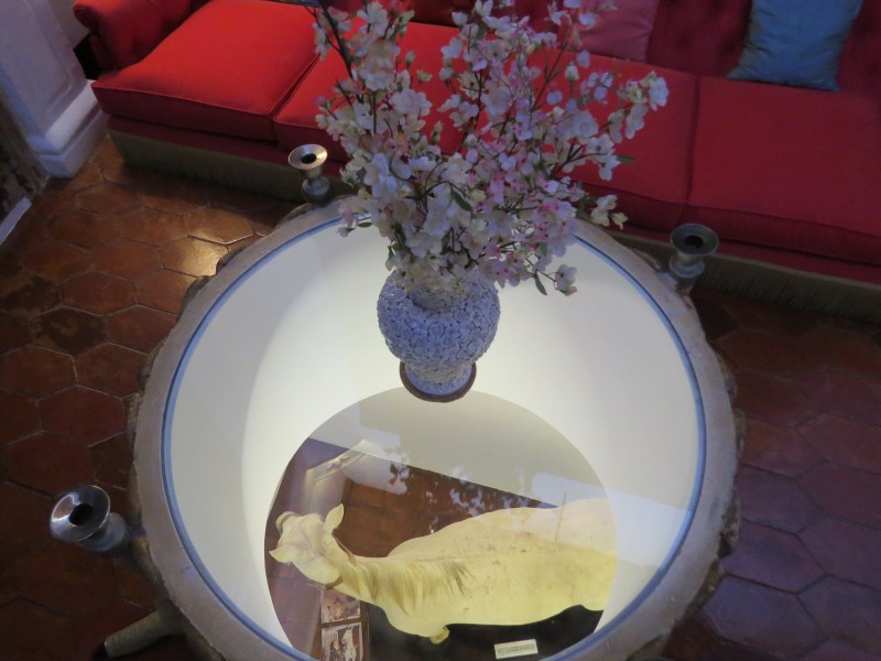 Coffee table from which you can see the stuffed horse