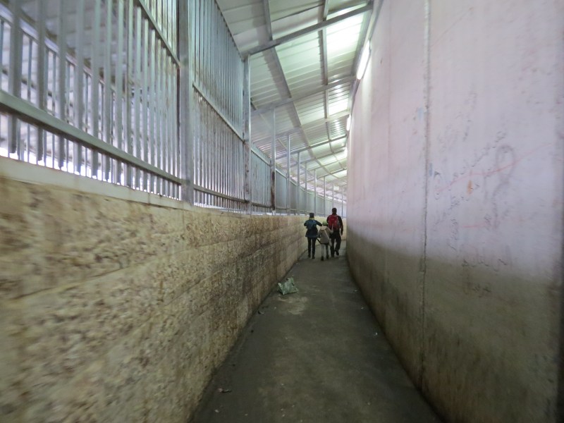 Israel-Palestine border