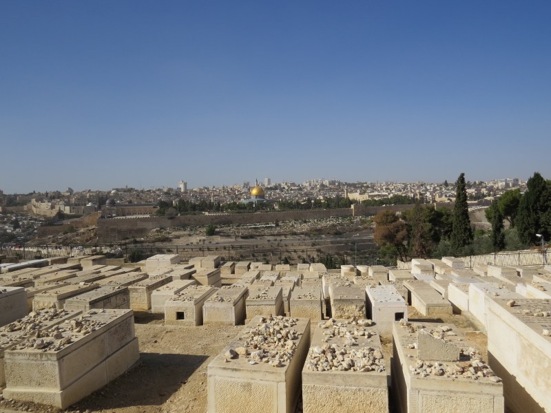 View from the Seven Arches Hotel 