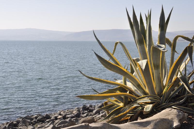 Sea of Galilee